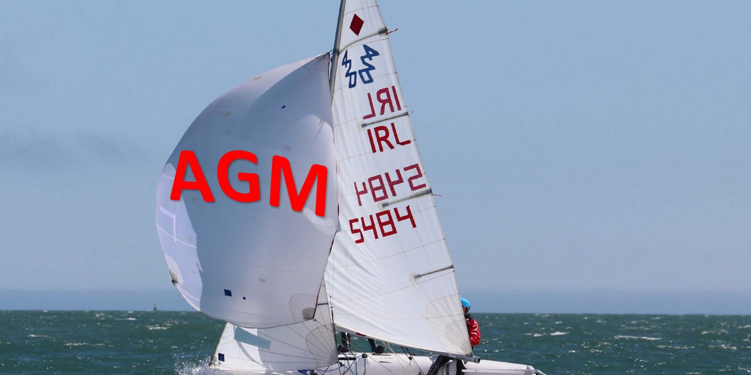 AGM PICTURE